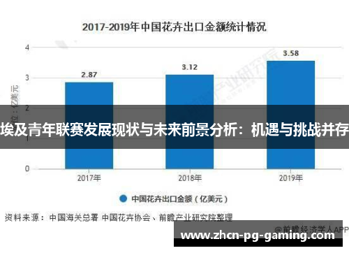 埃及青年联赛发展现状与未来前景分析：机遇与挑战并存