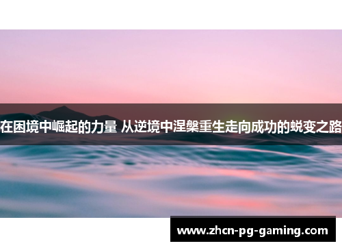 在困境中崛起的力量 从逆境中涅槃重生走向成功的蜕变之路