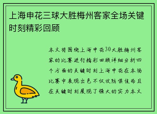 上海申花三球大胜梅州客家全场关键时刻精彩回顾