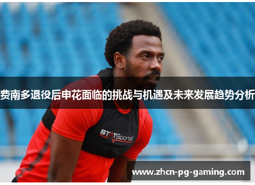 费南多退役后申花面临的挑战与机遇及未来发展趋势分析