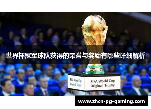 世界杯冠军球队获得的荣誉与奖励有哪些详细解析