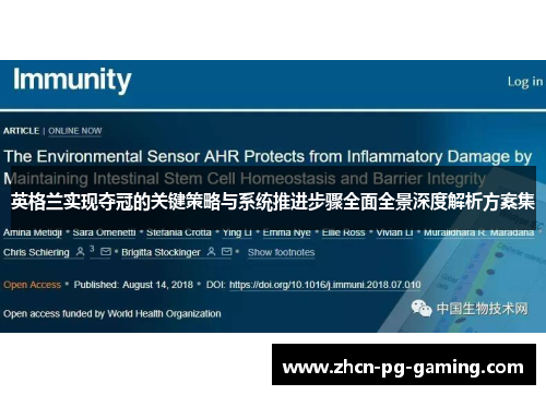 英格兰实现夺冠的关键策略与系统推进步骤全面全景深度解析方案集 英格兰实现夺冠的关键策略与系统推进步骤全面全景深度解析方案集